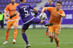 AUE-D98-2018-19-0017