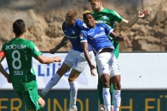 D98-BOC-2018-19-0003