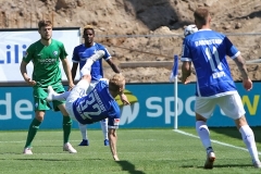 D98-BOC-2018-19-0005