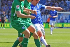 D98-BOC-2018-19-0016