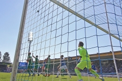 D98-BOC-2018-19-0023a