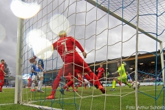 D98-FCH-2018-19-015a