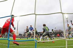 D98-FCI-2018-19-008a