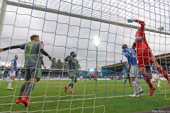 D98-FCI-2018-19-019a