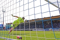 D98-SSV-2018-19-017a