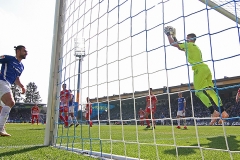 D98-SSV-2018-19-028a