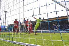 D98-SSV-2018-19-032a