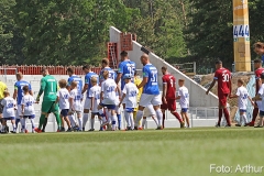 D98-Vit-2019-20-0001