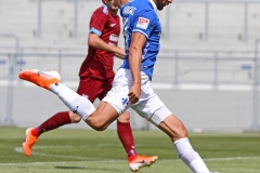 D98-Vit-2019-20-0003