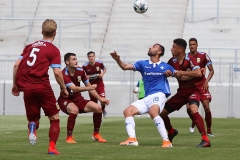 D98-Vit-2019-20-0004