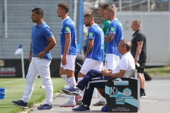 D98-Vit-2019-20-0010