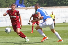 D98-Vit-2019-20-0011