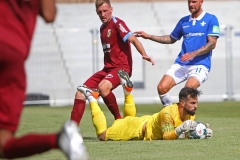 D98-Vit-2019-20-0012