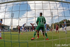 D98-Vit-2019-20-0014a