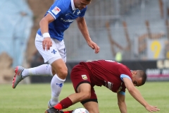 D98-Vit-2019-20-0015