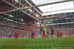 f95-SVD-2021-22-gerauer-0025a