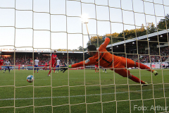 SVD-FCH-2021-22-0004a