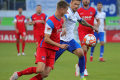 SVD-FCH-2021-22-0006