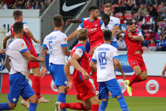 SVD-FCH-2021-22-0008