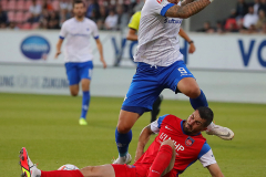 SVD-FCH-2021-22-0011