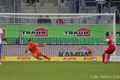 SVD-FCH-2021-22-0013