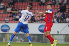 SVD-FCH-2021-22-0014