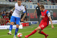 SVD-FCH-2021-22-0015