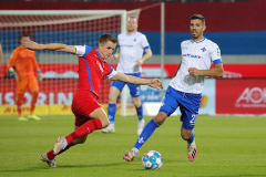 SVD-FCH-2021-22-0016