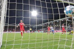 SVD-FCH-2021-22-0016b