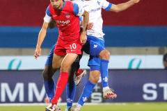 SVD-FCH-2021-22-0025