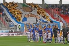 FCI-D98-2018-19-0001