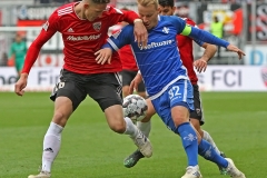 FCI-D98-2018-19-0008