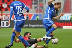 FCI-D98-2018-19-0009