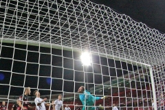 FCN-SVD-2020-21-010a