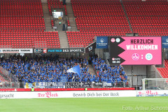 FCN-SVD-2021-22-gerauer-0001a