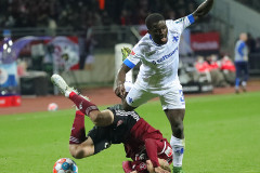 FCN-SVD-2021-22-gerauer-0010