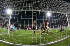 FCN-SVD-2021-22-gerauer-0013b