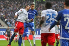 HSV-D98-2018-19-0006