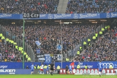 HSV-D98-2018-19-0007