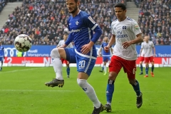 HSV-D98-2018-19-0008