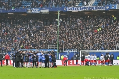 HSV-D98-2018-19-0042