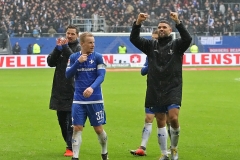 HSV-D98-2018-19-0043