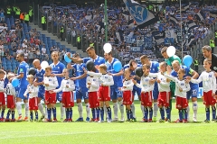 HSV-SVD-2019-20-002