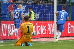 HSV-SVD-2019-20-013