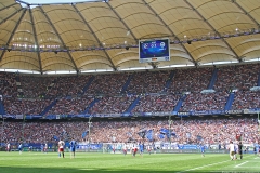 HSV-SVD-2019-20-019