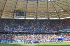 HSV-SVD-2019-20-034