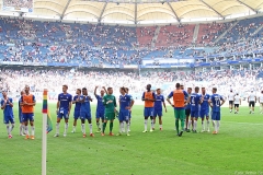 HSV-SVD-2019-20-036