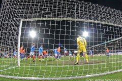 KSV-SVD-2019-20-0029a