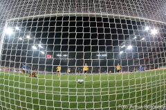 SGD-SVD-2019-20-0009a