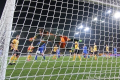 SGD-SVD-2019-20-0033a